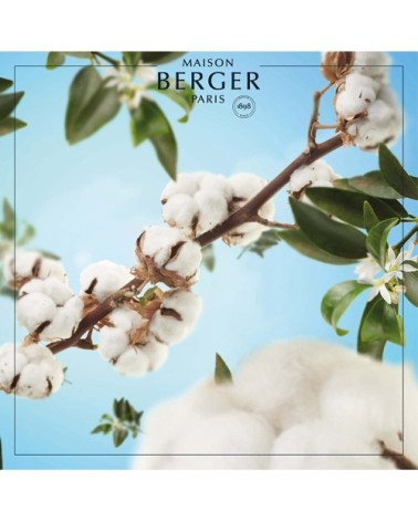 Parfum Bouquet Parfumé Caresse de Coton 400 ml