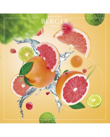 Parfum Lampe Berger Envolée d'Agrumes 500ml