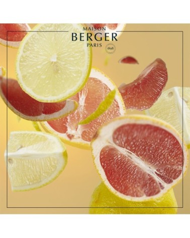 Parfum Lampe Berger Aroma Energy 1L