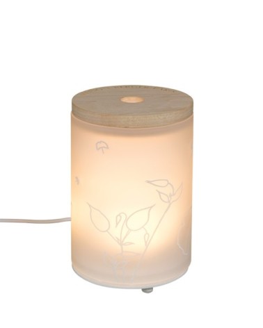 Diffuseur Électrique Aroma Happy