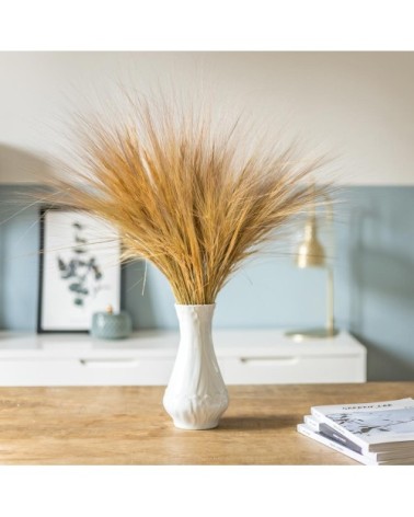 Barba sec naturel 150g