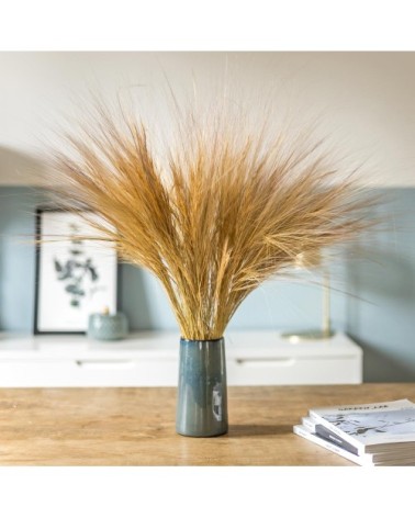 Barba sec naturel 150g