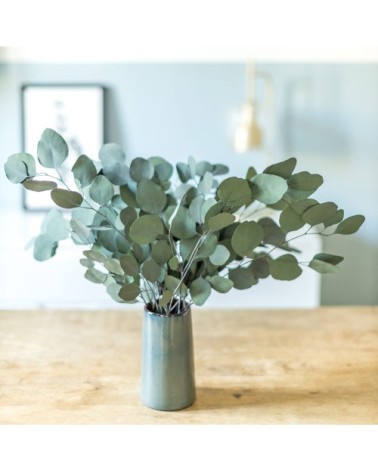 Botte de fleurs séchées eucalyptus populus vert stabilisé