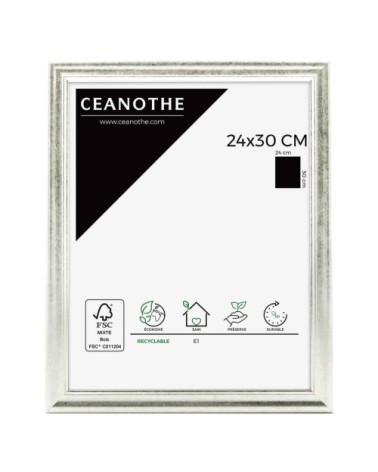 Cadre photo Classique argent 24x30 cm