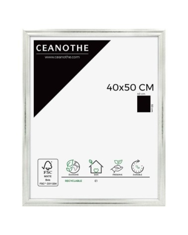 Cadre photo Classique argent 40x50 cm
