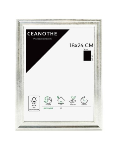 Cadre photo Classique argent 18x24 cm