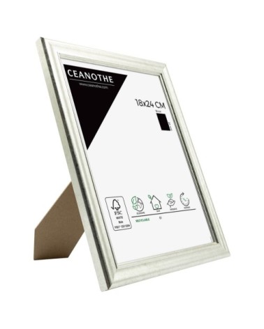 Cadre photo Classique argent 18x24 cm