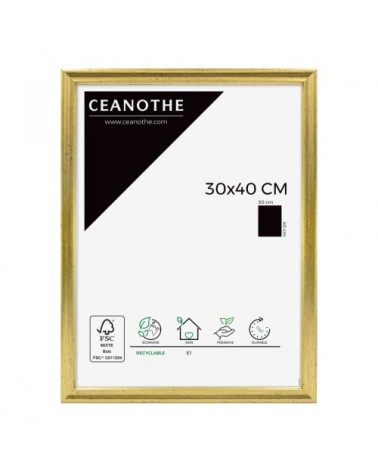 Cadre photo Classique doré 30x40 cm