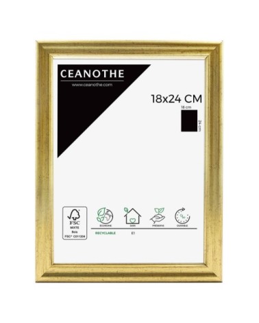 Cadre photo Classique doré 18x24 cm