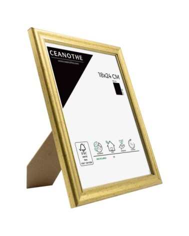 Cadre photo Classique doré 18x24 cm