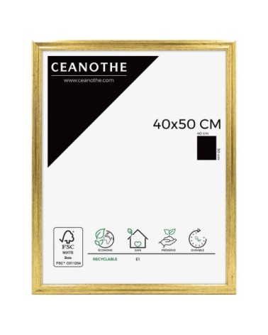 Cadre photo Classique doré 40x50 cm