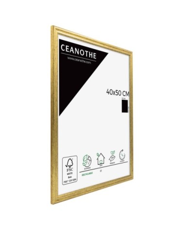 Cadre photo Classique doré 40x50 cm