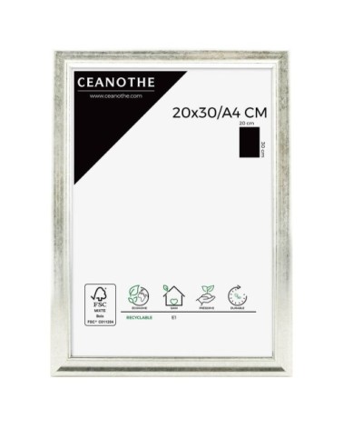 Cadre photo Classique argent 20x30 cm