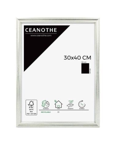 Cadre photo Classique argent 30x40 cm
