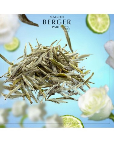 Parfum Lampe Berger Thé Blanc Pureté 1L