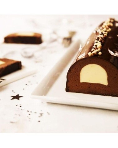 Moule à bûche de Noël + insert