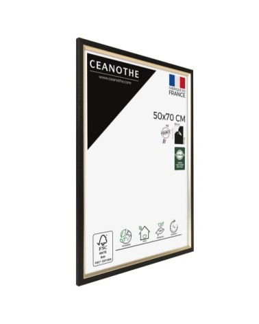 Cadre photo noir doré 50x70 cm résine recyclée