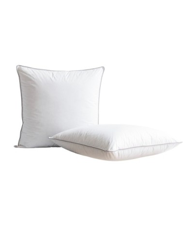 Oreiller hôtel luxe en Plume Blanc 65x65 cm