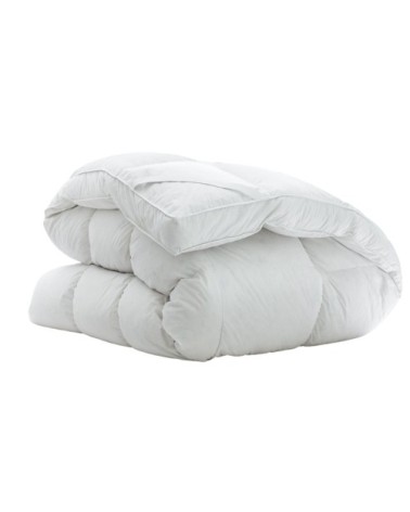 Surmatelas hôtel luxe en Plume Blanc 80x200 cm