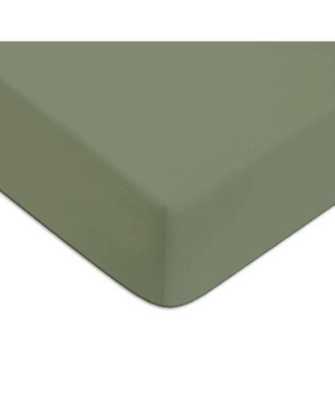Drap housse en coton 57 fils uni vert sauge 140x200cm