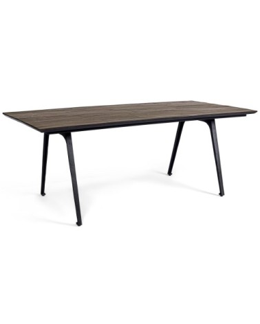 Table de repas interieur/exterieur