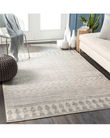 Tapis Scandinave Bohème - Gris et Gris Clair - 200x275cm
