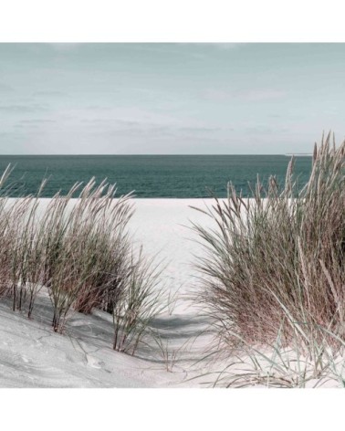 Tableau sur toile plage et roseaux 65x65cm