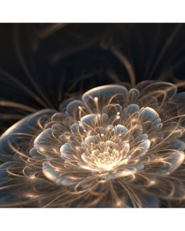 Tableau sur toile fleur de lumière 65x65cm