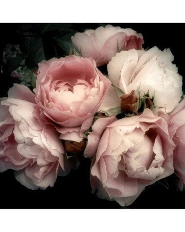 Tableau sur toile fleur romantique 30x30cm