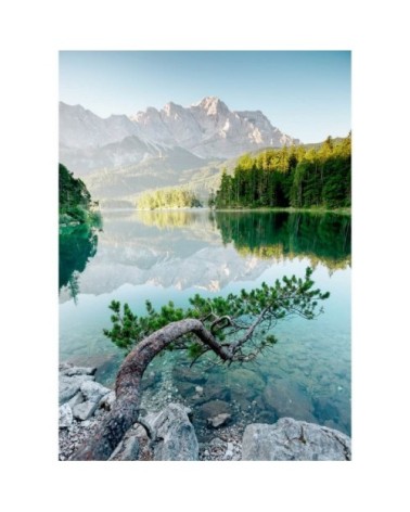 Tableau sur toile branche sur le lac 45x65cm