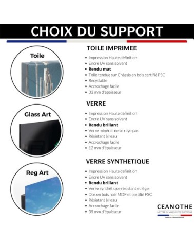 Tableau sur toile cabanons 65x65cm