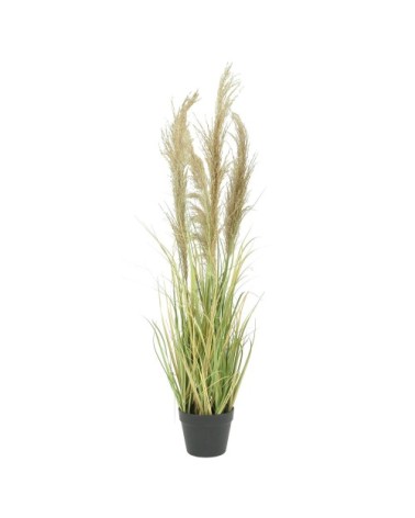 Herbes de la pampa artificielles 110cm