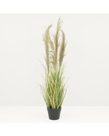 Herbes de la pampa artificielles 110cm