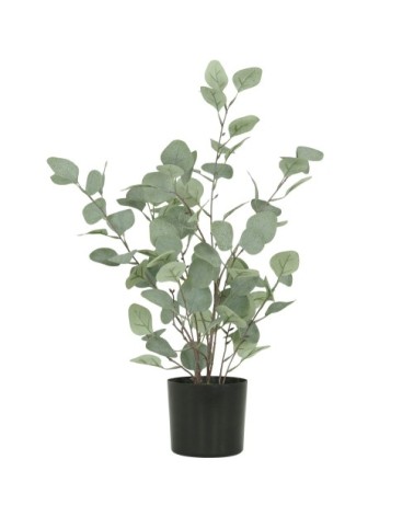 Eucalyptus artificiel effet blanchi 60cm