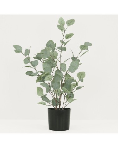 Eucalyptus artificiel effet blanchi 60cm