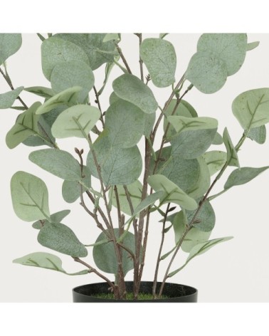 Eucalyptus artificiel effet blanchi 60cm