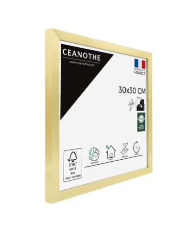 Cadre photo doré 30x30 cm résine recyclée