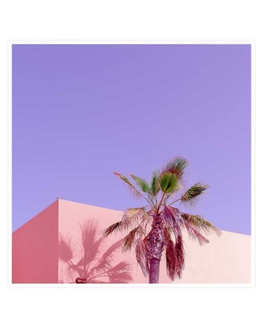 Affiche photo pink palma 50x50cm