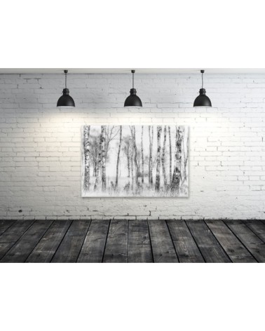 Tableau bouleaux en monochrome toile imprimée 120x80cm