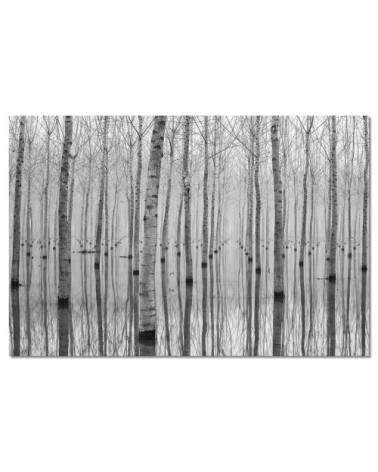Tableau alu dibond nature automnale pieds dans l'eau 100x60cm