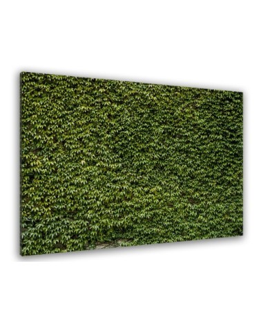 Tableau nature mur de lierres toile imprimée 50x30cm