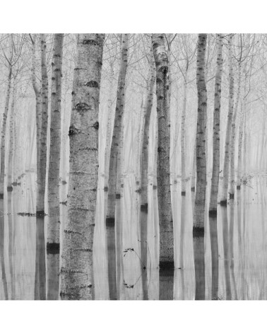 Tableau alu dibond nature automnale pieds dans l'eau 50x30cm