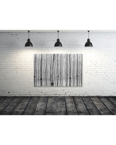 Tableau alu dibond nature automnale pieds dans l'eau 80x50cm