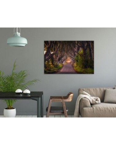 Tableau alu dibond nature arbres enchanteurs 120x80cm