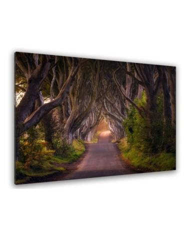 Tableau nature arbres enchanteurs toile imprimée 120x80cm