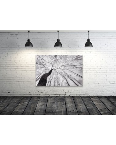 Tableau plexiglas nature canopée 120x80cm