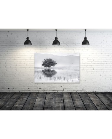 Tableau alu dibond nature reflets d'eau 50x30cm