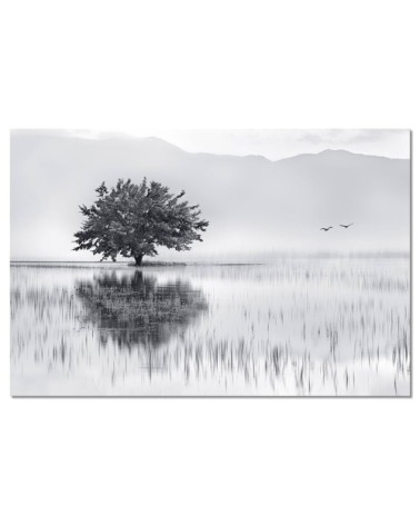 Tableau alu dibond nature reflets d'eau 120x80cm