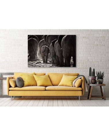 Tableau animaux cap Afrique toile imprimée 80x50cm