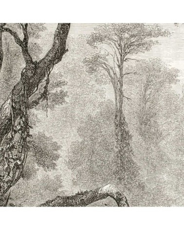 Tableau gravure les bords du fleuve toile imprimée 80x50cm